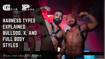 Harness Types Explained: Bulldog, X, and Full Body Styles