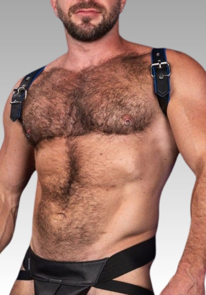 Cadet Shoulder Harness - Blue for sale