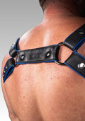 Cadet Shoulder Harness - Blue for sale