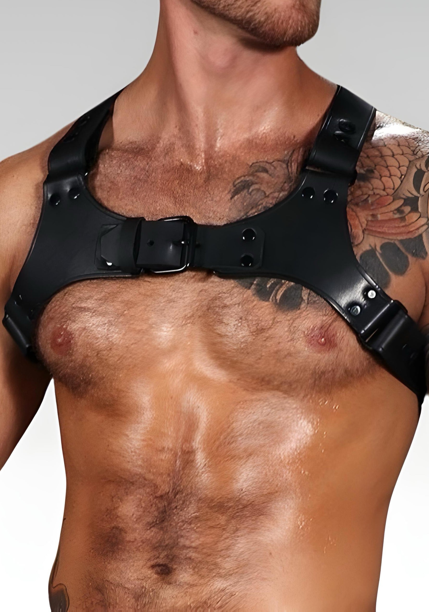 Centurion Leather Chest Harness for sale