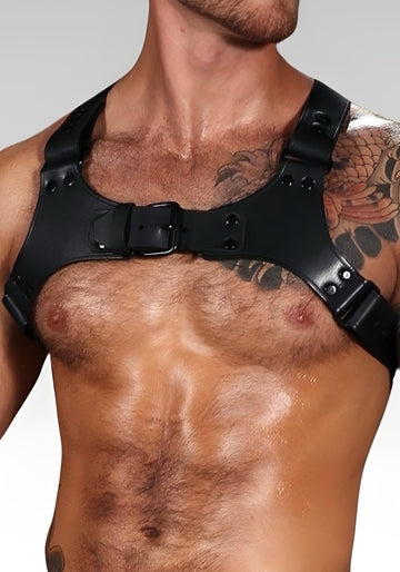 Centurion Leather Chest Harness for sale