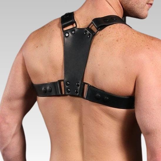 Centurion Leather Chest Harness for sale