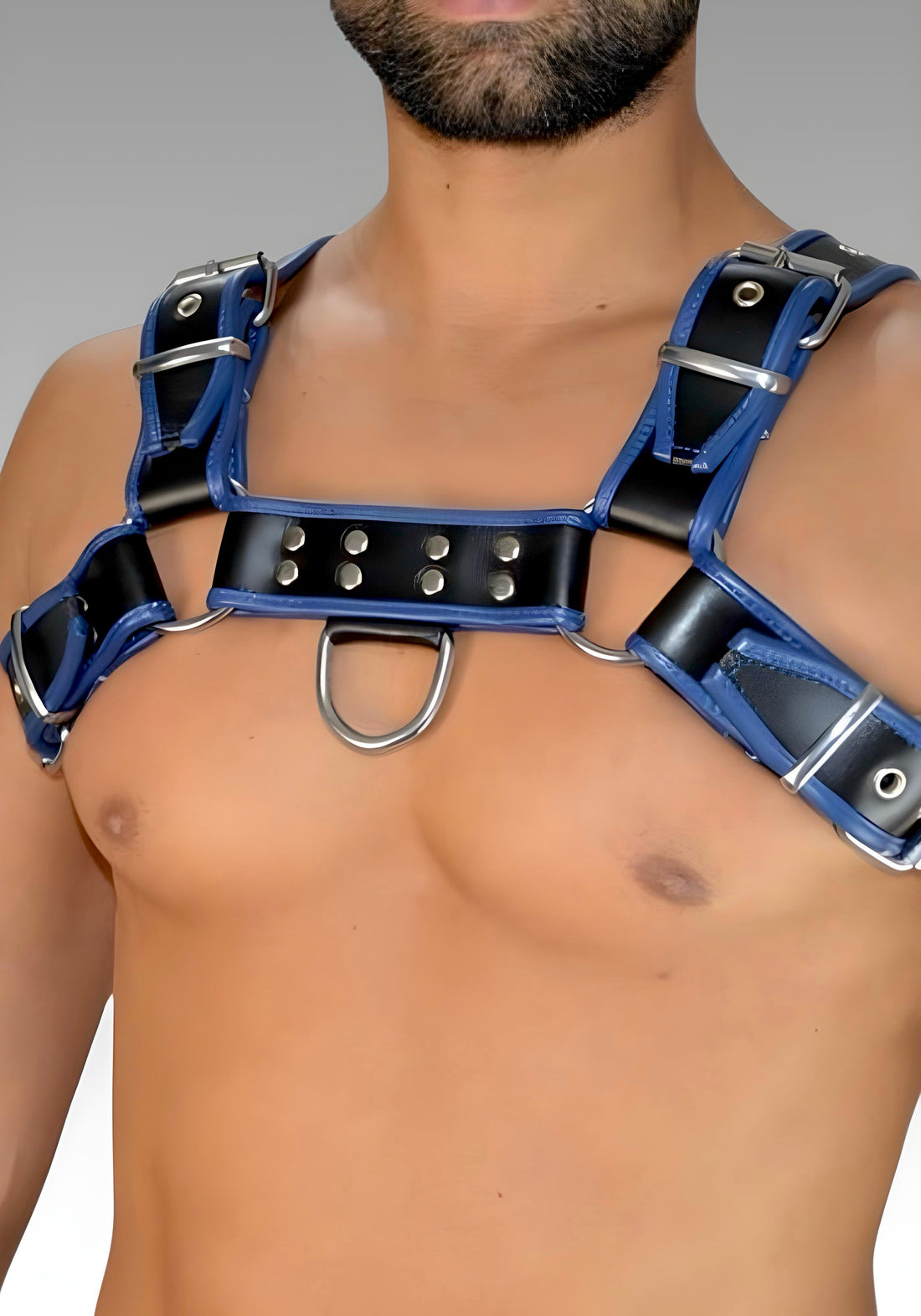 Leather Bulldog Chest Harness - Blue Trim for sale
