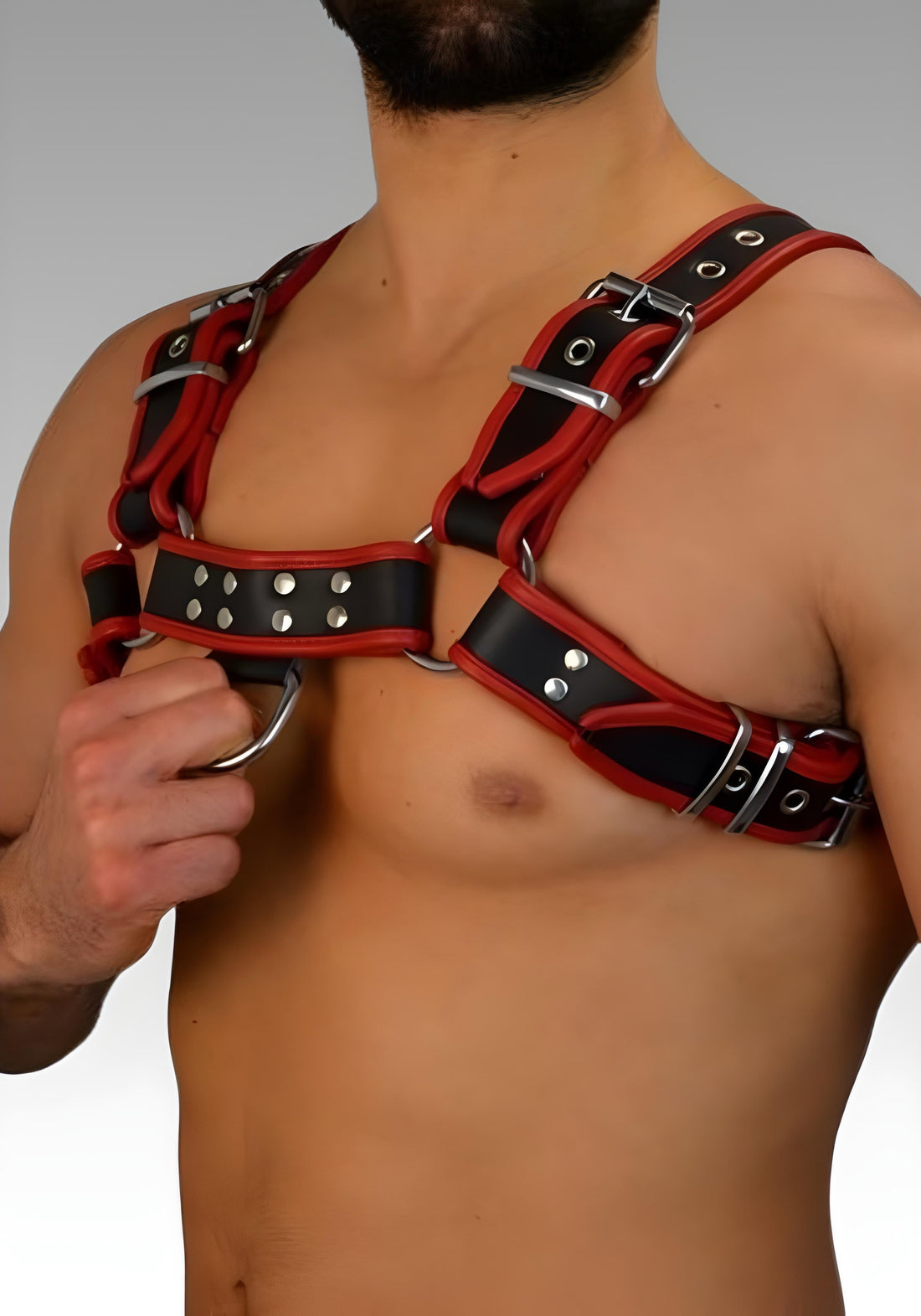 Leather Bulldog Chest Harness - Red Trim for sale