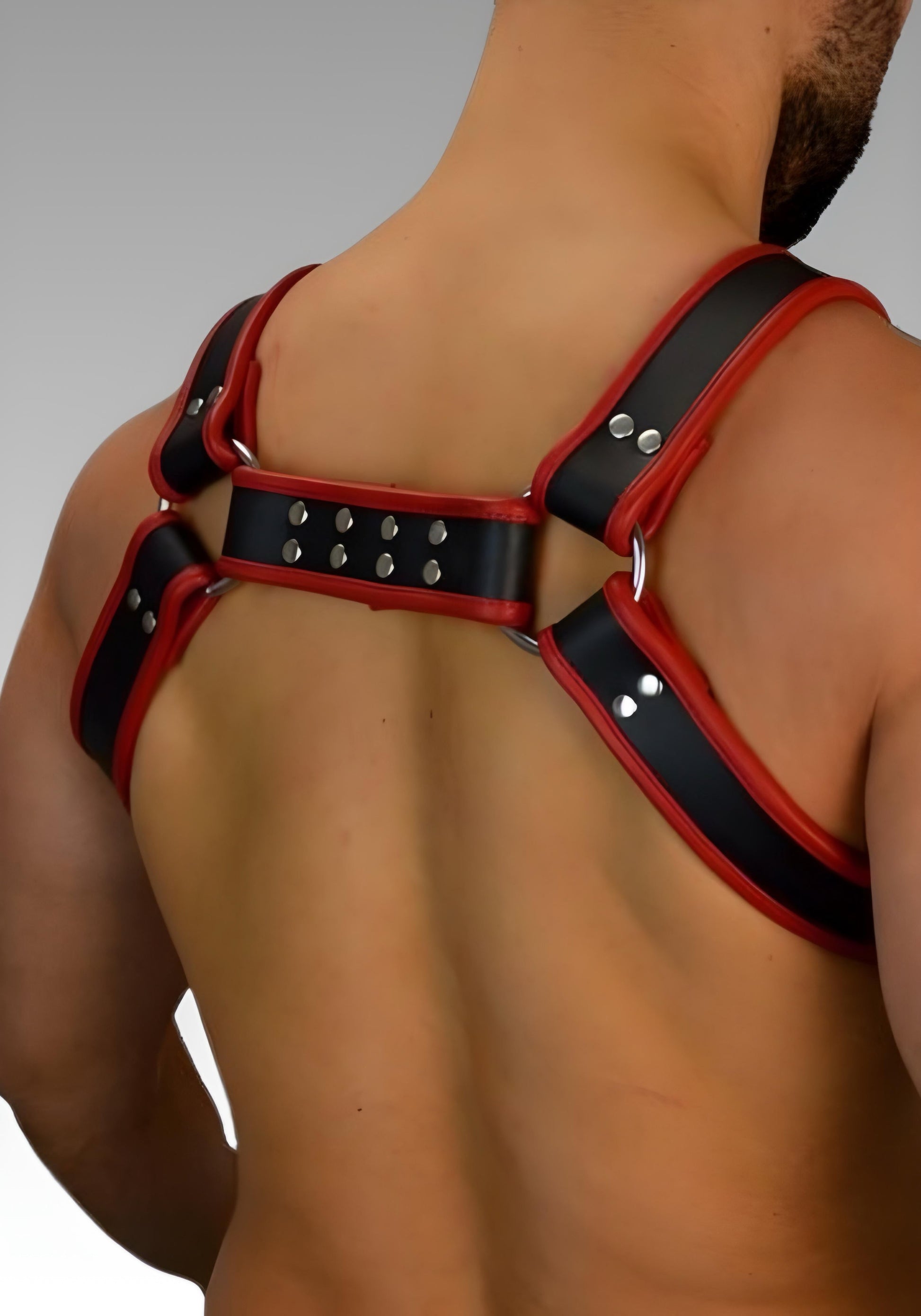 Leather Bulldog Chest Harness - Red Trim for sale