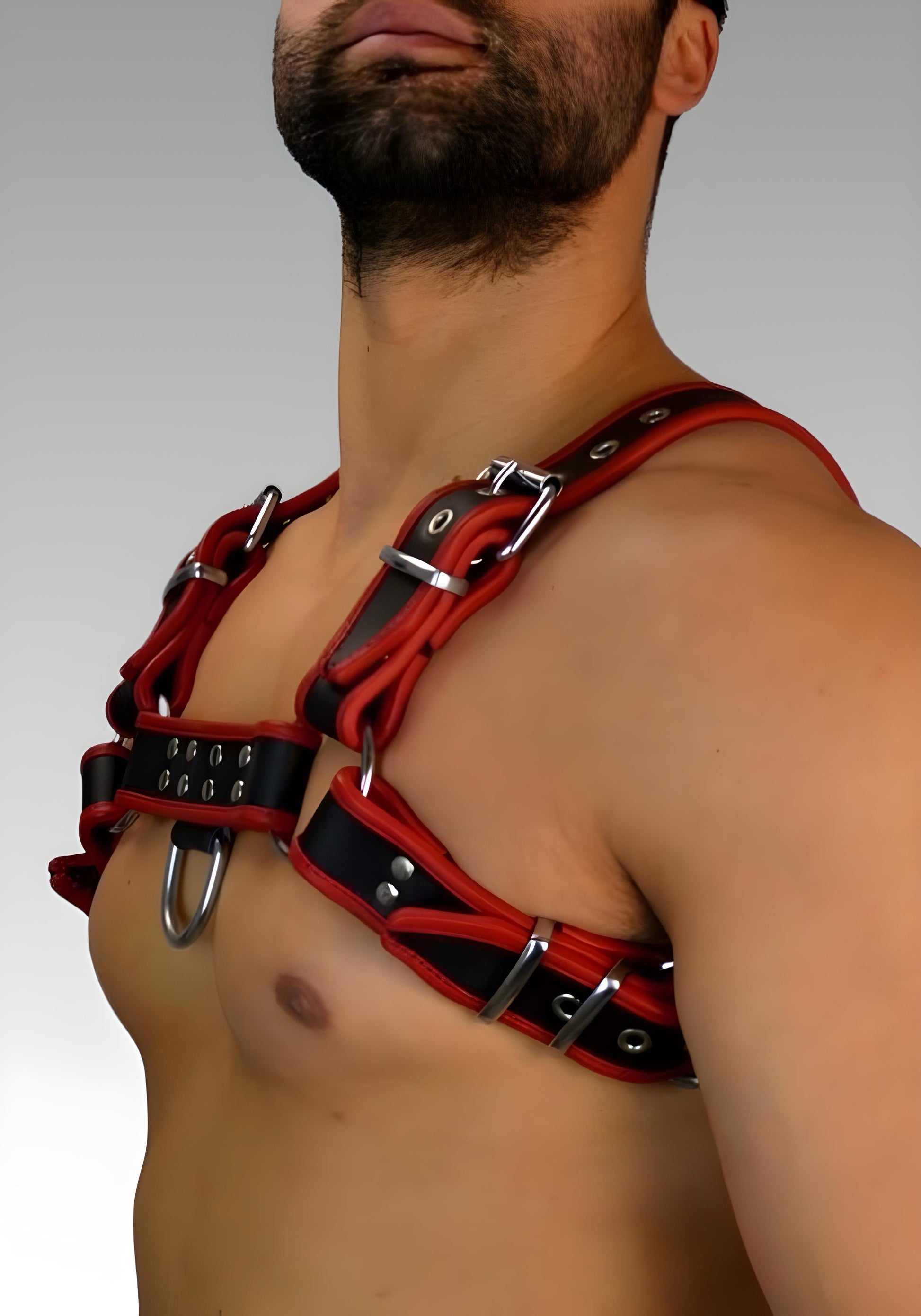 Leather Bulldog Chest Harness - Red Trim for sale