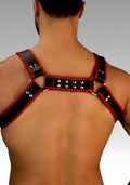 Leather Bulldog Chest Harness - Red Trim for sale