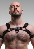 Leather Bulldog Harness Black Piping for sale