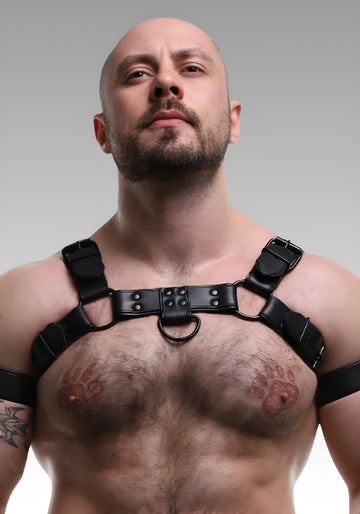 Leather Bulldog Harness Black Piping for sale