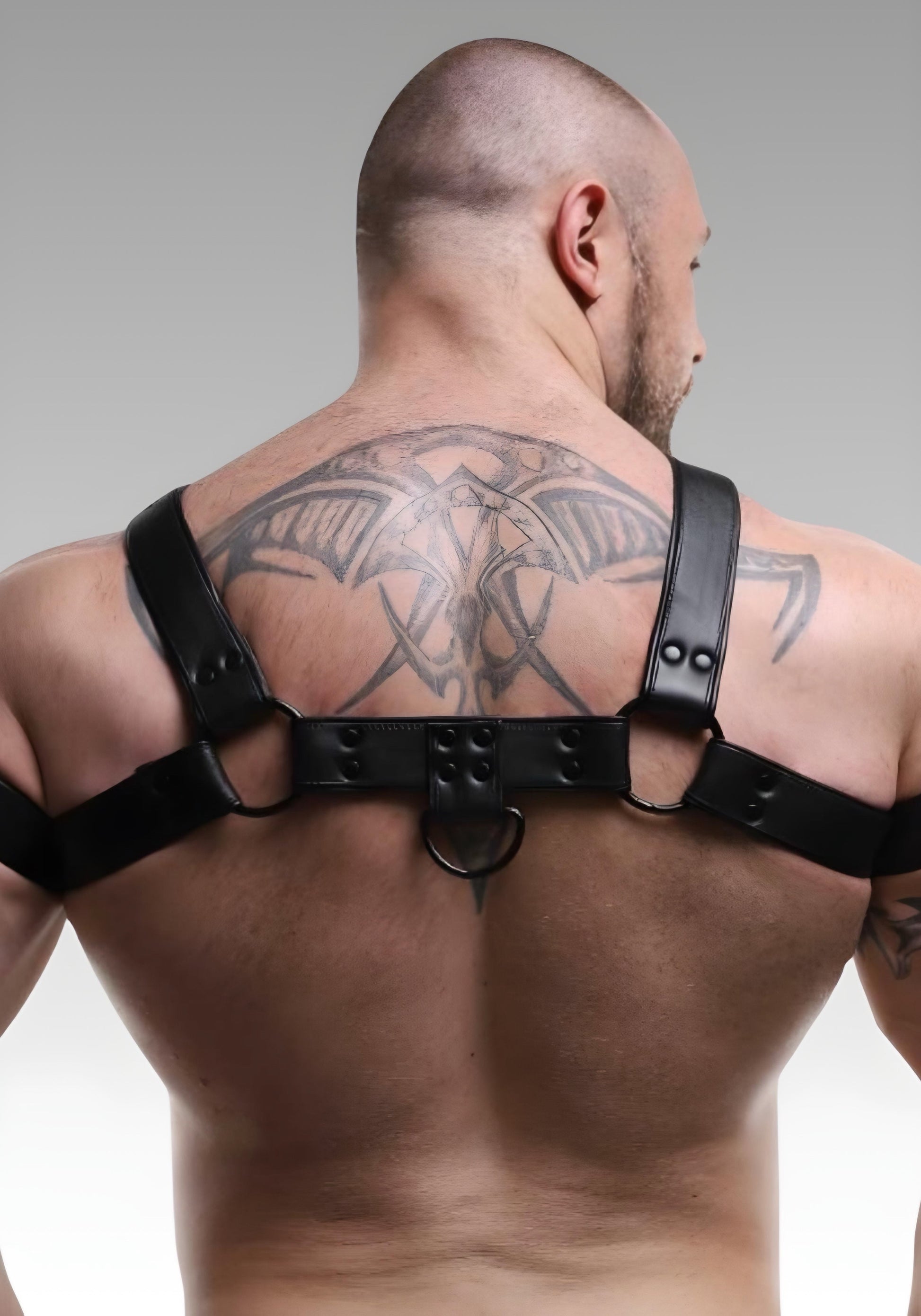 Leather Bulldog Harness Black Piping for sale