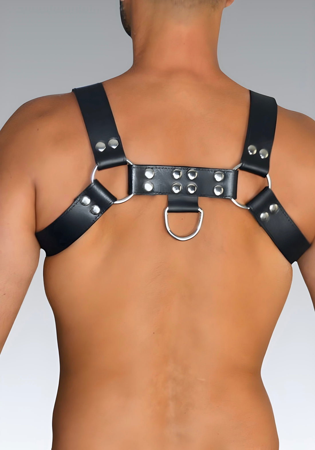 Leather Chest Harness Thick Black Leather for sale