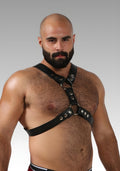 Top English Leather Harness for sale