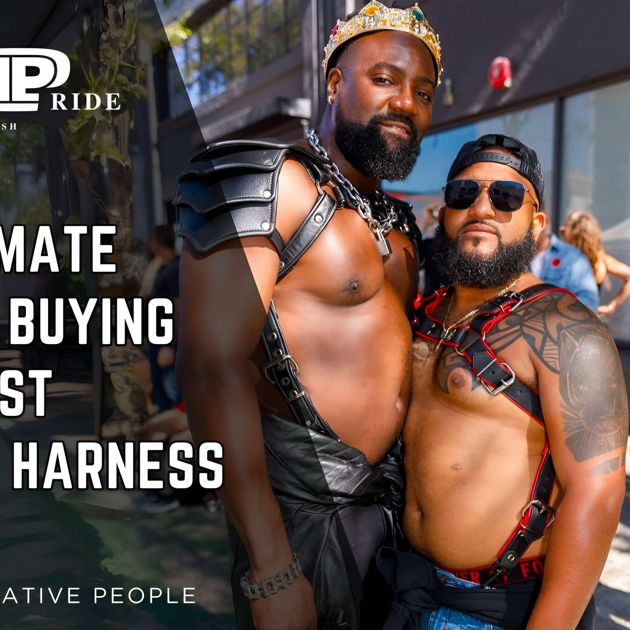 The Ultimate Guide to Buying Your First Leather Harness