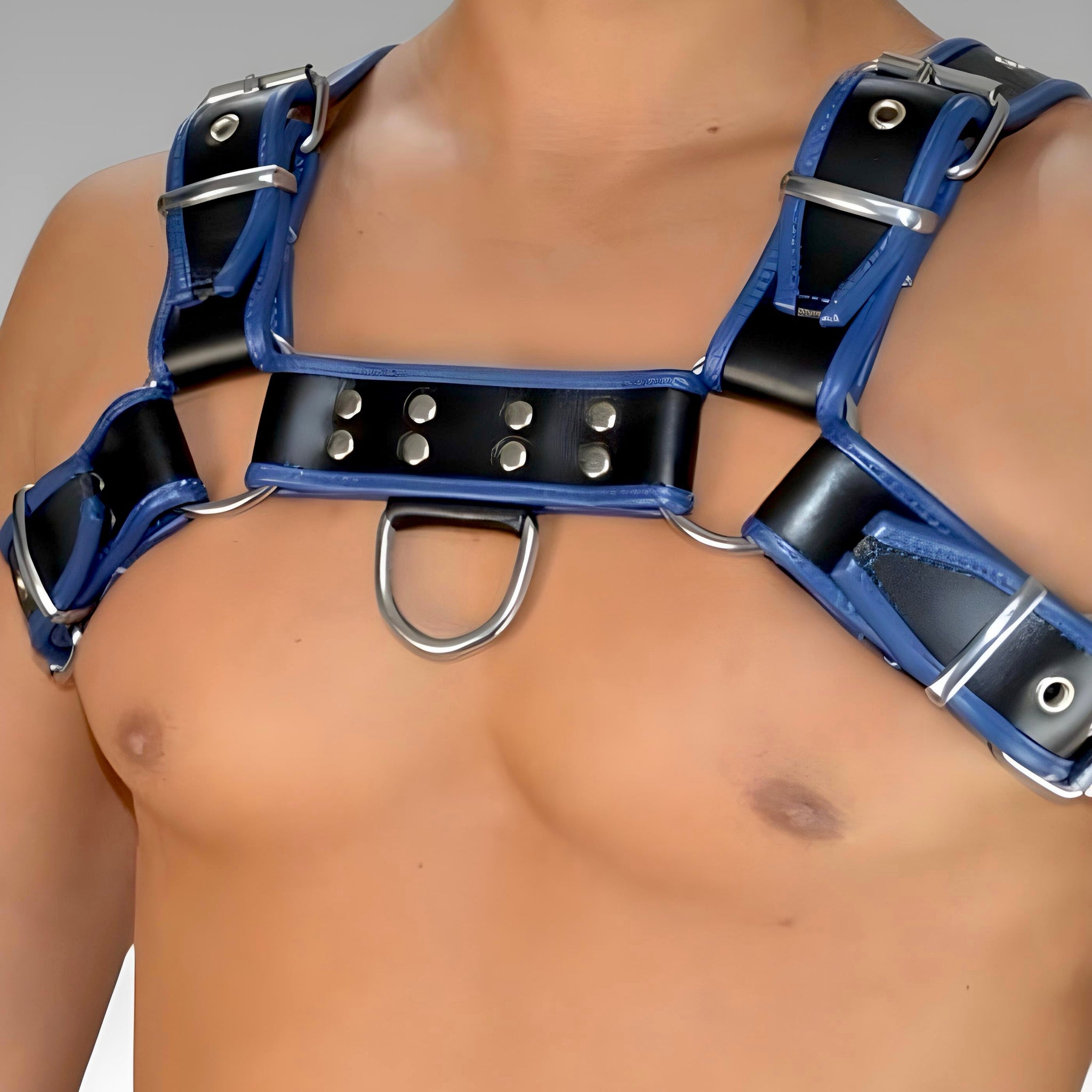 Leather Bulldog Chest Harness - Blue Trim for sale