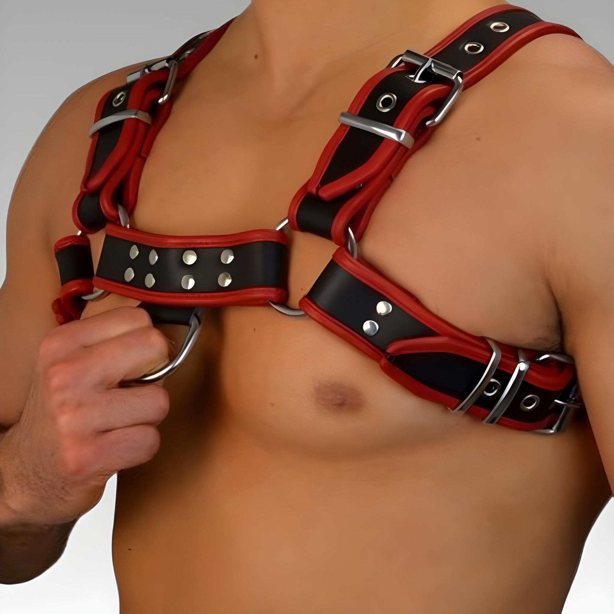 Leather Bulldog Chest Harness - Red Trim for sale