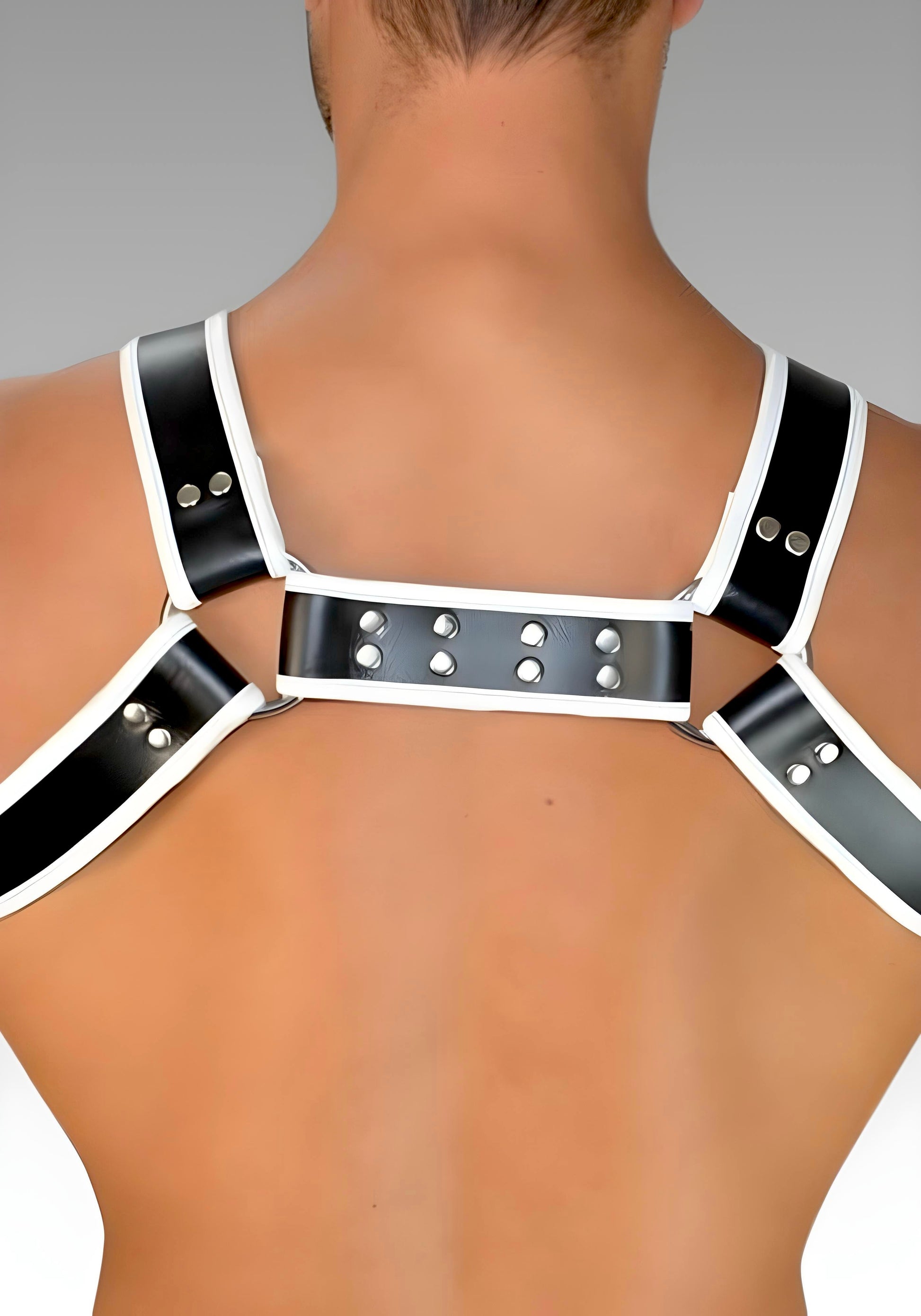 Leather Bulldog Chest Harness - White Trim for sale