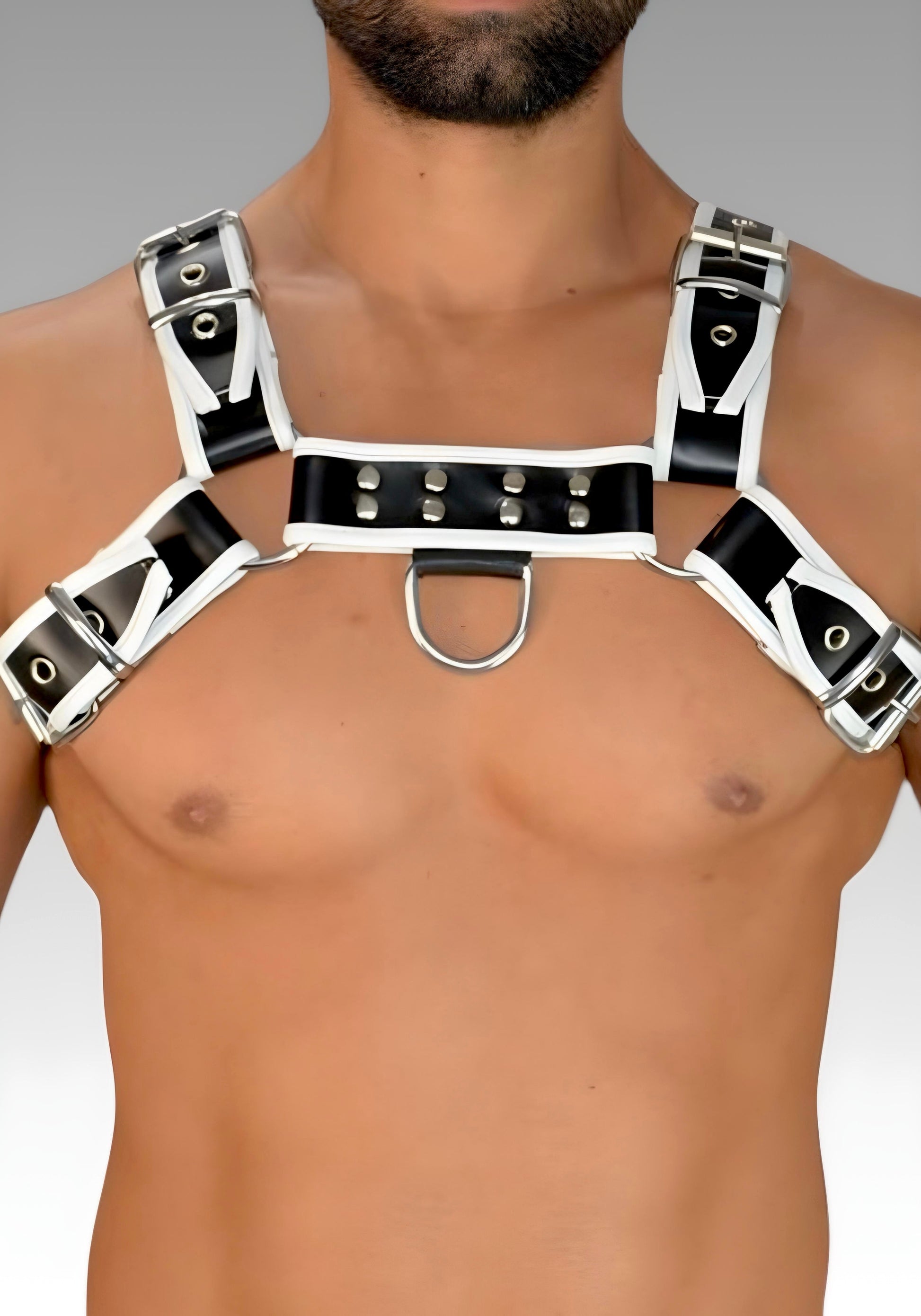 Leather Bulldog Chest Harness - White Trim for sale