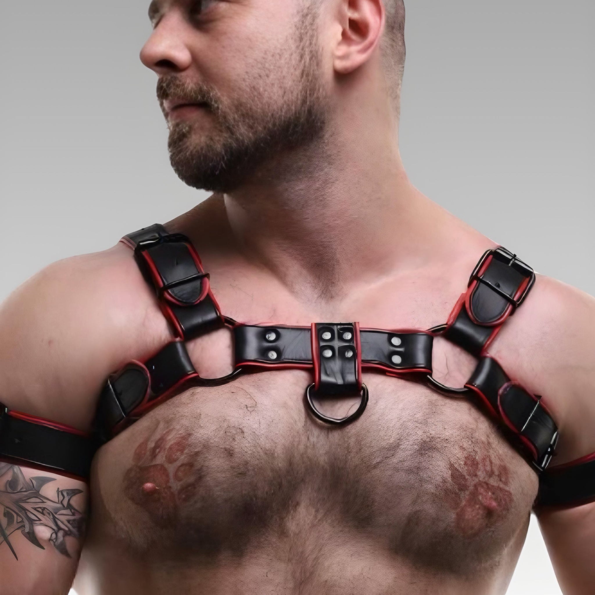 Leather Bulldog Harness with Red Piping for sale