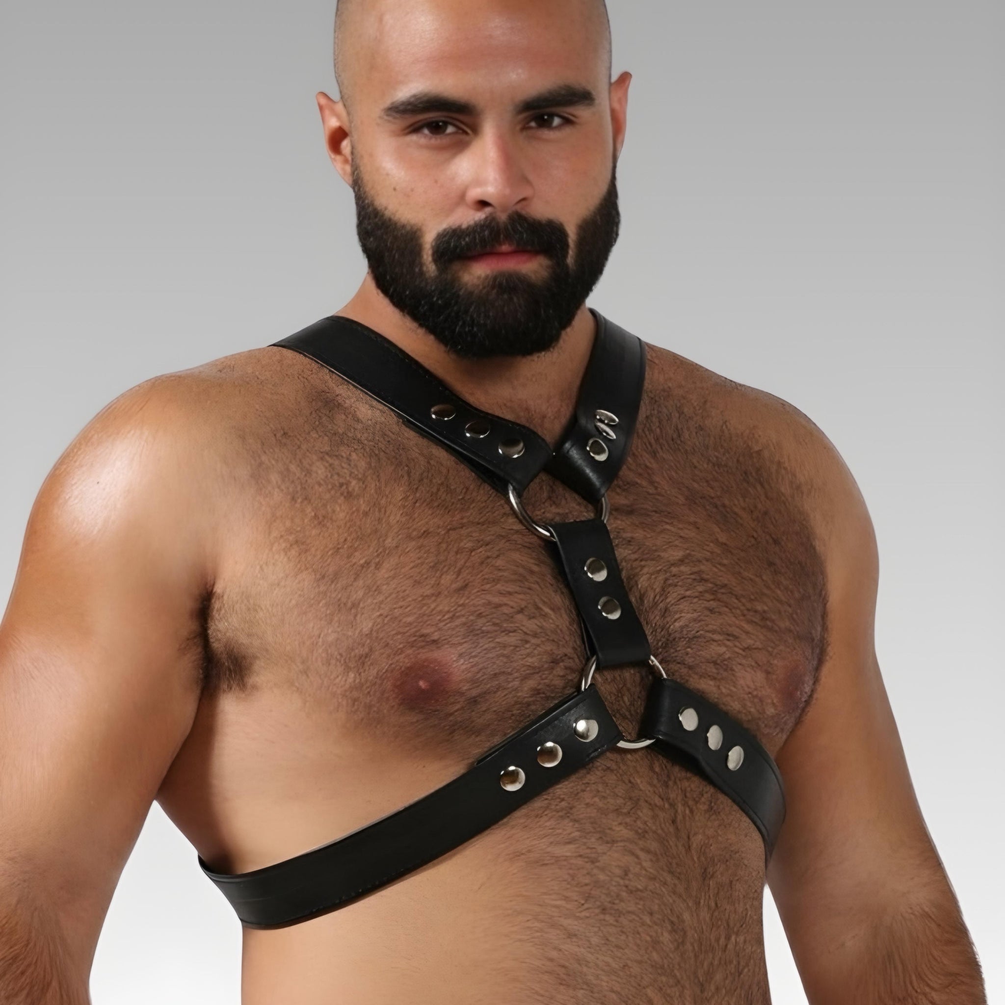 Top English Leather Harness for sale